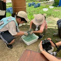 2025年7月21日_夏の里山で藍の生葉染め体験