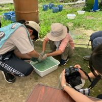 2025年7月21日_夏の里山で藍の生葉染め体験