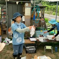 2025年7月21日_夏の里山で藍の生葉染め体験