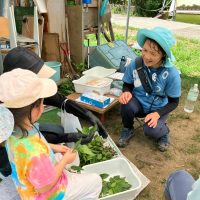 2025年7月21日_夏の里山で藍の生葉染め体験