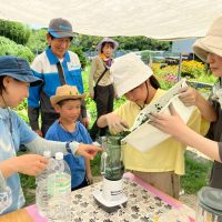 2025年7月21日_夏の里山で藍の生葉染め体験