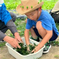 2025年7月21日_夏の里山で藍の生葉染め体験