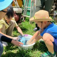 2025年7月21日_夏の里山で藍の生葉染め体験