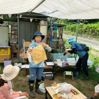 2025年7月21日_夏の里山で藍の生葉染め体験