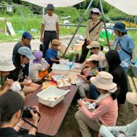 2025年7月21日_夏の里山で藍の生葉染め体験