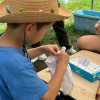2025年7月21日_夏の里山で藍の生葉染め体験