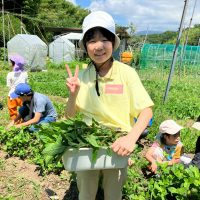 2025年7月21日_夏の里山で藍の生葉染め体験