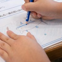 2025年8月23日_海のお仕事体験プロジェクト③