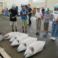 2025年8月2日_海のお仕事体験プロジェクト①_競り体験