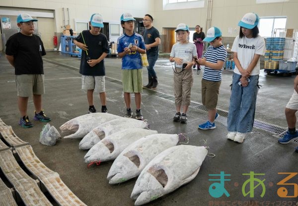2025年8月2日_海のお仕事体験プロジェクト①_競り体験
