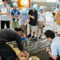 2025年8月2日_海のお仕事体験プロジェクト①_競り体験