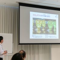 2025年8月3日_霧箱で放射線を見てみよう_