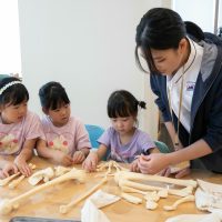 2025年8月24日_放射線技師のおしごと