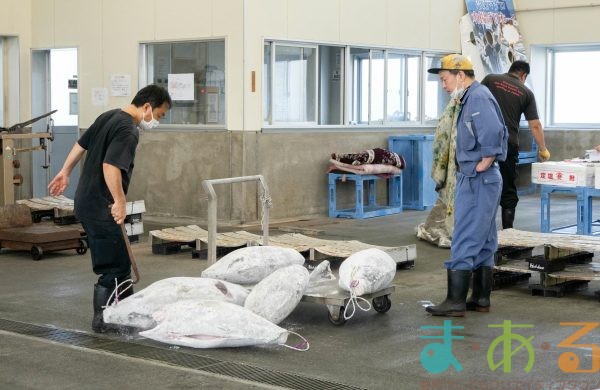 2025年8月2日_海のお仕事体験プロジェクト①_競り体験