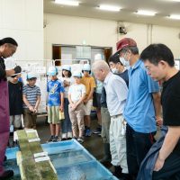 2025年8月2日_海のお仕事体験プロジェクト①_競り体験