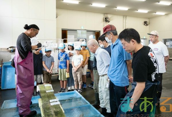 2025年8月2日_海のお仕事体験プロジェクト①_競り体験