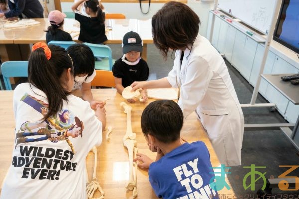 2025年8月24日_放射線技師のおしごと