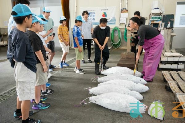 2025年8月2日_海のお仕事体験プロジェクト①_競り体験