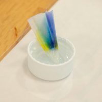 2025年8月11日_科学実験！ペーパークロマトグラフィーでしおり作り