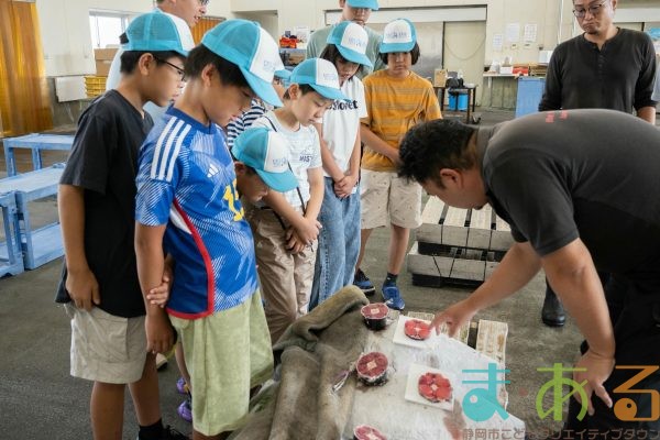 2025年8月2日_海のお仕事体験プロジェクト①_競り体験