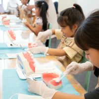 2025年8月4日_歯科衛生士のおしごと
