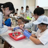 2025年8月9日_わくわくサイエンスまつり