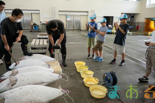 2025年8月2日_海のお仕事体験プロジェクト①_競り体験