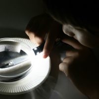 2025年8月3日_霧箱で放射線を見てみよう_