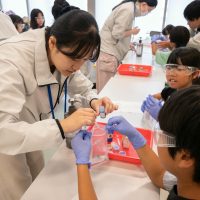 2025年8月9日_わくわくサイエンスまつり