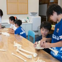 2025年8月24日_放射線技師のおしごと