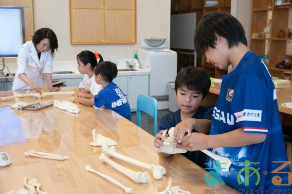 2025年8月24日_放射線技師のおしごと