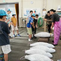2025年8月2日_海のお仕事体験プロジェクト①_競り体験