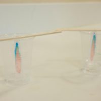 2025年8月11日_科学実験！ペーパークロマトグラフィーでしおり作り