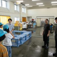 2025年8月2日_海のお仕事体験プロジェクト①_競り体験