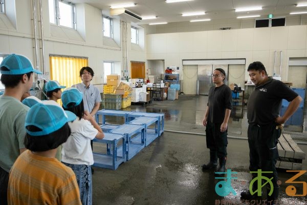 2025年8月2日_海のお仕事体験プロジェクト①_競り体験