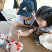2025年8月8日_IAI富士宮工場とファーム見学ツアー