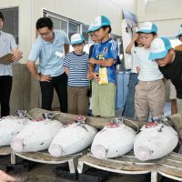 2025年8月2日_海のお仕事体験プロジェクト①_競り体験