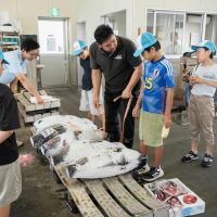 2025年8月2日_海のお仕事体験プロジェクト①_競り体験