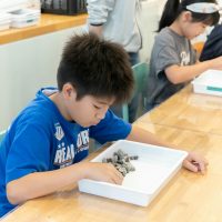 2025年8月9日_わくわくサイエンス教室_