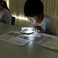 2025年8月3日_霧箱で放射線を見てみよう_