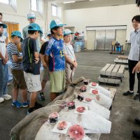 2025年8月2日_海のお仕事体験プロジェクト①_競り体験