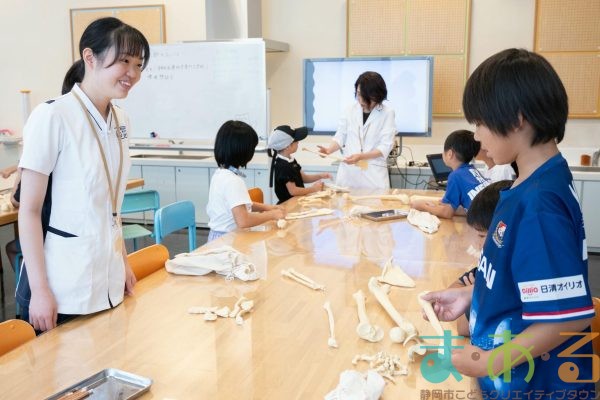 2025年8月24日_放射線技師のおしごと