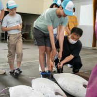 2025年8月2日_海のお仕事体験プロジェクト①_競り体験