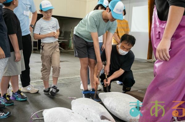 2025年8月2日_海のお仕事体験プロジェクト①_競り体験