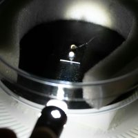 2025年8月3日_霧箱で放射線を見てみよう_