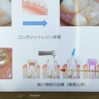 2025年8月9日_歯科医師のおしごと_