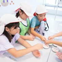 2025年9月19日_富士第一小学校