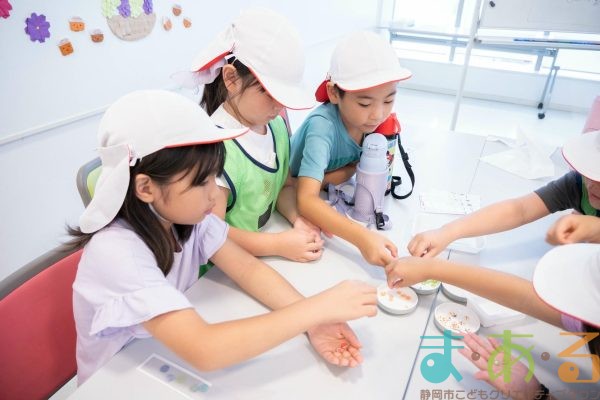 2025年9月19日_富士第一小学校