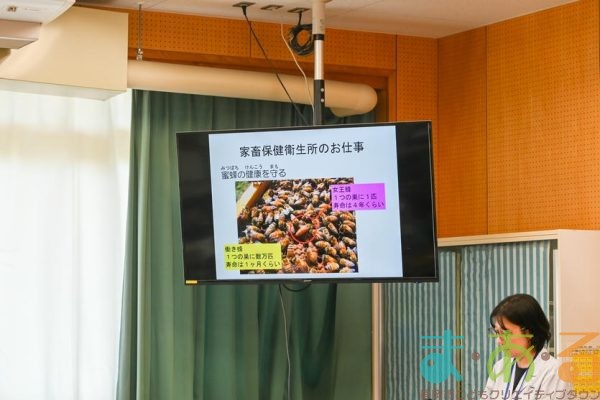 2025年9月9日_静岡市立清水庵原小学校_