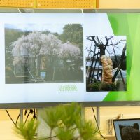 2025年10月18日_木の声でプログラミング！